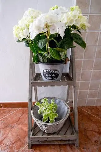 Marija شقة زادار